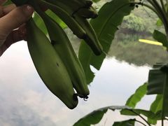 -重庆彩云湖湿地公园