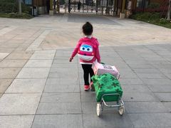 -吴淞炮台湾湿地森林公园烧烤区