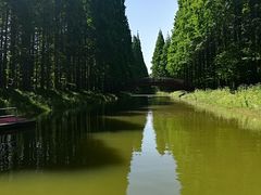 -黄海国家森林公园