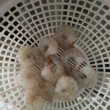 20191110001西葫白萝卜丝虾仁鸡蛋馅饺子煎吃菜谱