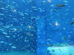 -海合安青岛极地海洋公园