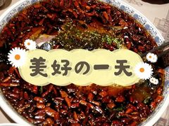 杨记招牌鱼-杨记隆府(时代天街店)