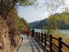 -羚羊峡古栈道森林公园