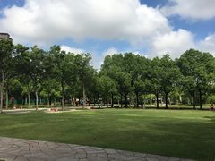 -新江湾城公园