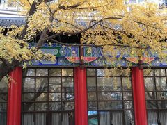 -四川大学(华西校区)