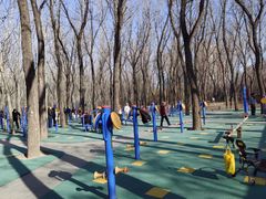 -森林公园(尖草坪区)