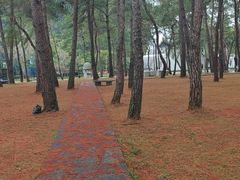 -Club Med地中海俱乐部·桂林度假村