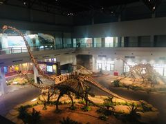 -自贡恐龙博物馆