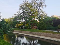 -元大都城垣遗址公园