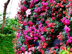 -人民公园(罗湖区)