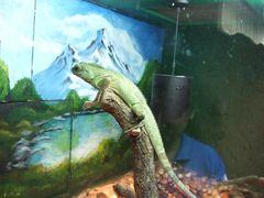 -上海昆虫博物馆