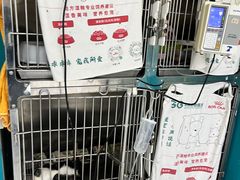 -乖乖宠物医院·猫科·急重症中心(车站北路分院)