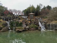 -秀丽东方