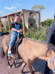 -小蜜蜂农场(凯德七宝购物广场店)