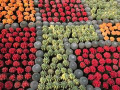 -南通洲际绿博园