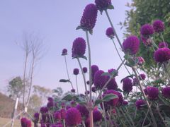 -白石龙音乐公园