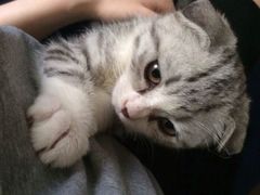 iphone_upload_pic-赢吧Bliss音乐酒吧