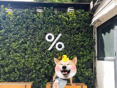 -% Arabica阿拉比卡咖啡(武康路店)