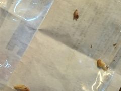 -北京观赏动物医院·24小时大型综合·猫专科·异宠专科