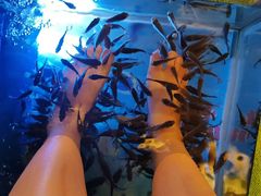 -汤连得温泉馆(宝山店)