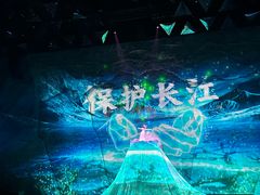 -重庆国际马戏城