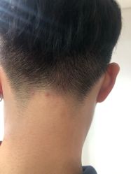 -崇尚GAVIN STYLE臻选