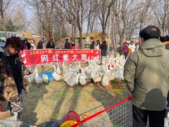 -辛庄国际文化艺术区