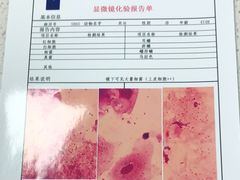 -睿金宠物医院·CT·肿瘤·骨外科