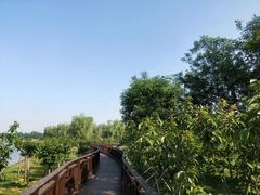 -羊亭河湿地公园