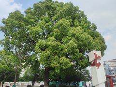 -七宝老街-闵行市民文化广场