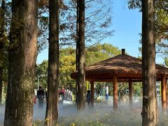 -宁波儿童公园(鄞州区)