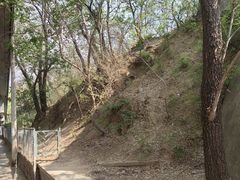 -元大都城垣遗址公园