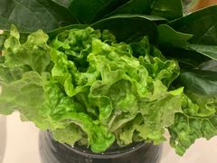 生打椰子煲配菜-虾饺妹·酒家(海珠广场店)