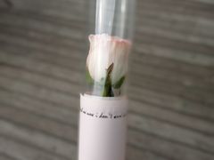 -FEI FEI FLOWER鲜花店·气球派对·宝宝宴布置(虹口德必运动Loft店)