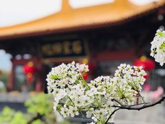 -石室禅院