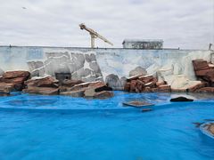 -上海海昌海洋公园