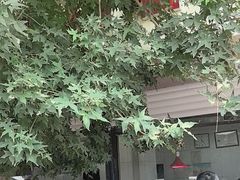 -土门八珍烤鸡腊味店(土门老店)