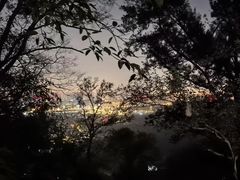 -紫金山山顶公园