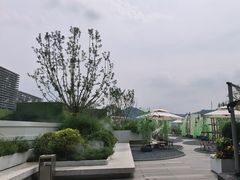 -朝阳公园游乐园