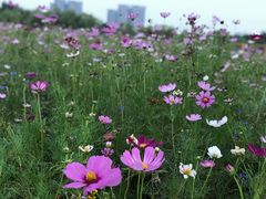 -白塘生态植物园