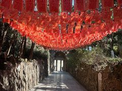 -彩色沙林风景区