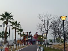 -九龙湖公园