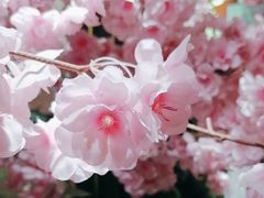 -学习谷日语培训日本留学·多语种外语教学(海淀人大分部)