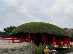 -南宁南湖公园