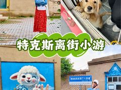 -特克斯八卦城