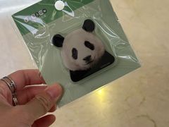 -新罗免税店(济州店)