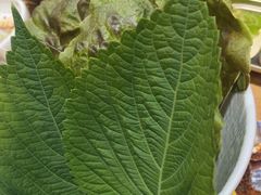 -青瓦餐厅·生鱼片·韩园烤肉(西塔店)