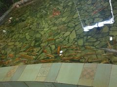 -泉城欧乐堡戏水湾艺术养生温泉