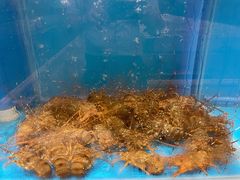 -财神岛·大连海鲜餐厅