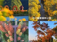 -广州市流溪河国家森林公园